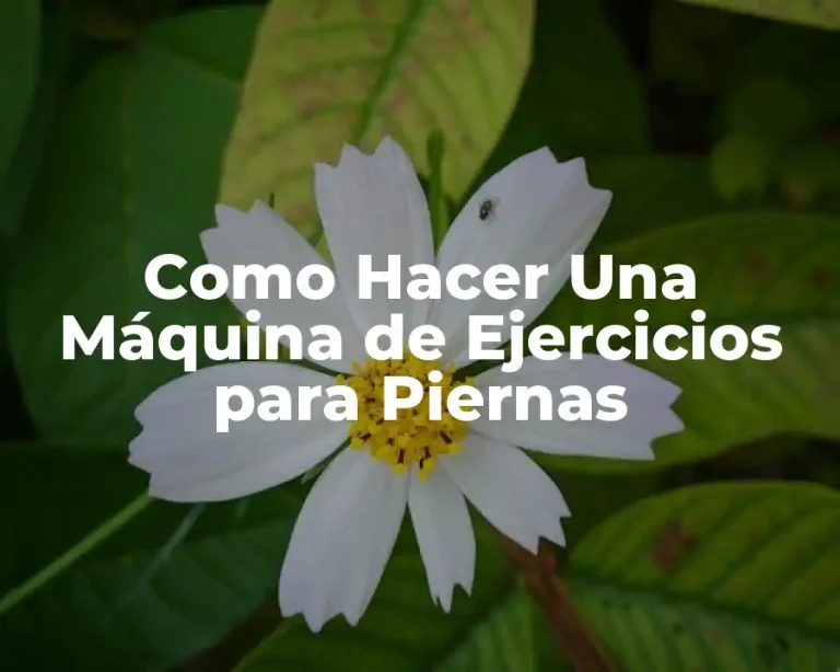 Como Hacer Una Máquina de Ejercicios para Piernas