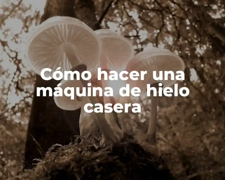 Cómo hacer una máquina de hielo casera