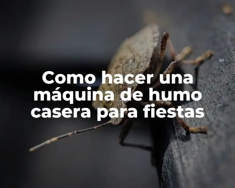 Como hacer una máquina de humo casera para fiestas