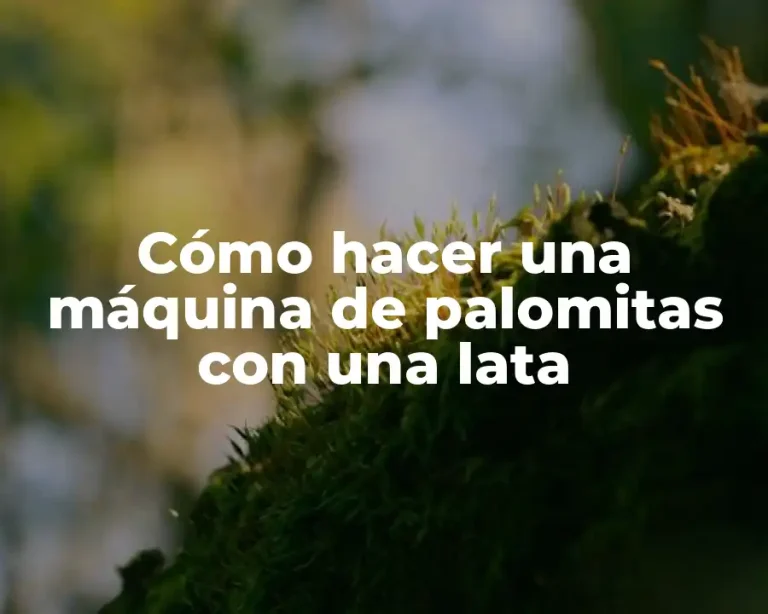 Cómo hacer una máquina de palomitas con una lata