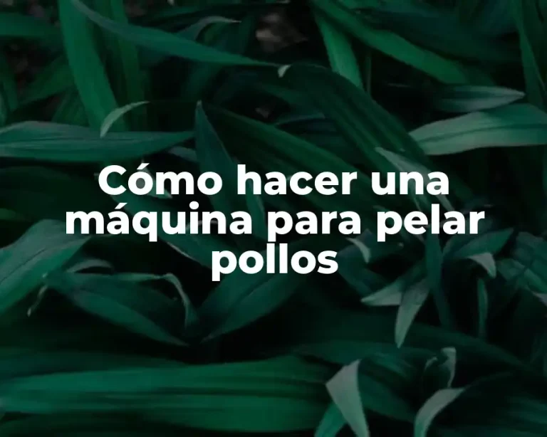 Cómo hacer una máquina para pelar pollos