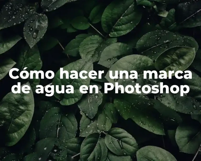 Cómo hacer una marca de agua en Photoshop