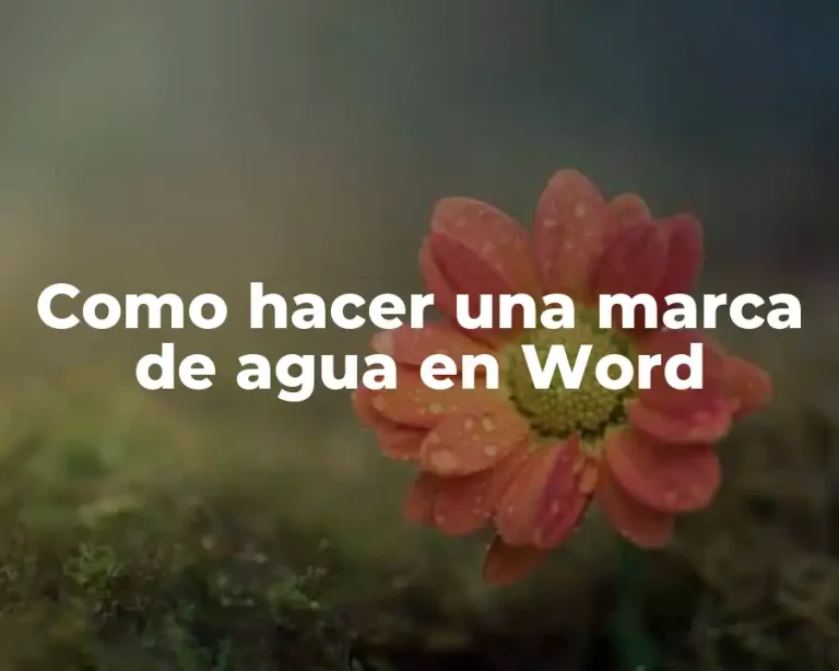 Como hacer una marca de agua en Word