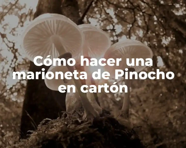 Cómo hacer una marioneta de Pinocho en cartón