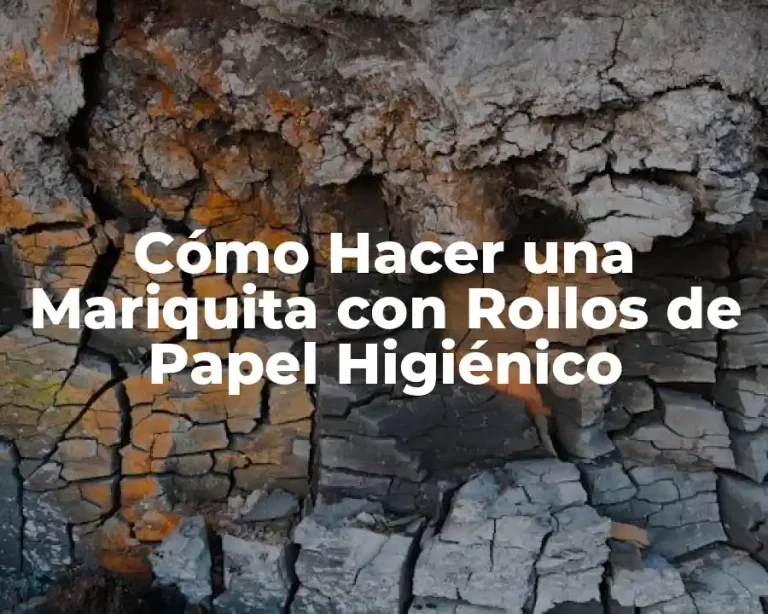 Cómo Hacer una Mariquita con Rollos de Papel Higiénico