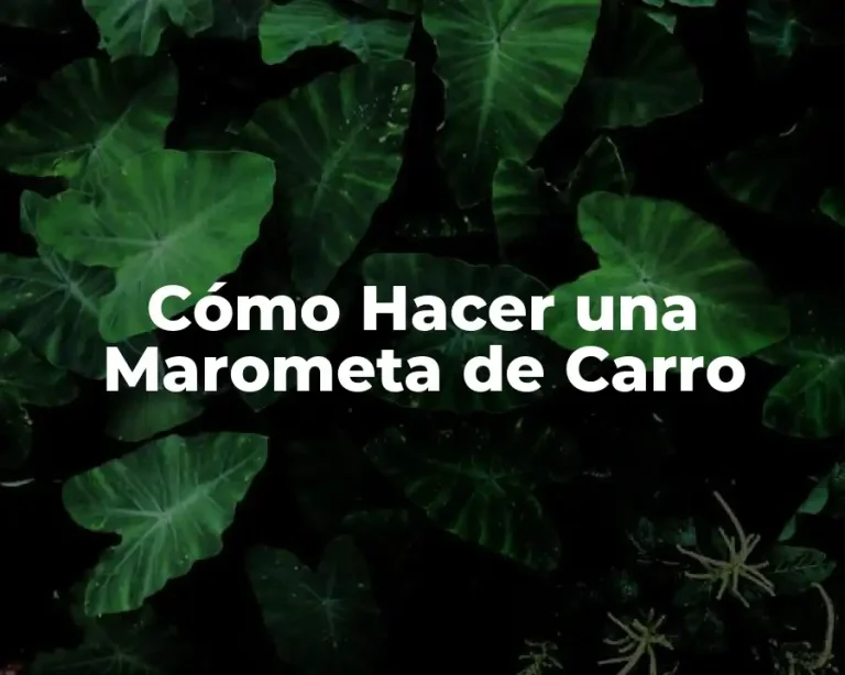 Cómo Hacer una Marometa de Carro