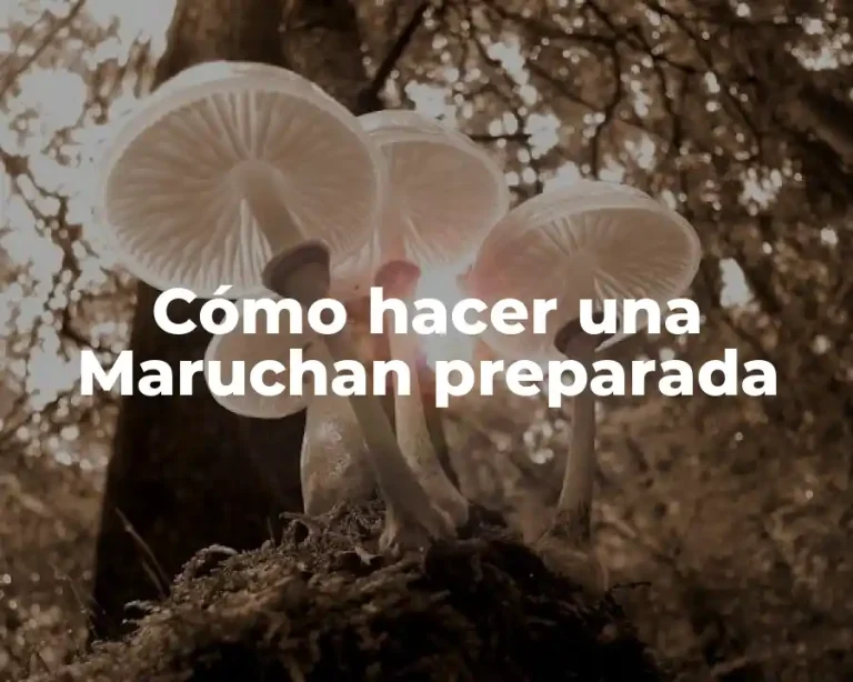 Cómo hacer una Maruchan preparada