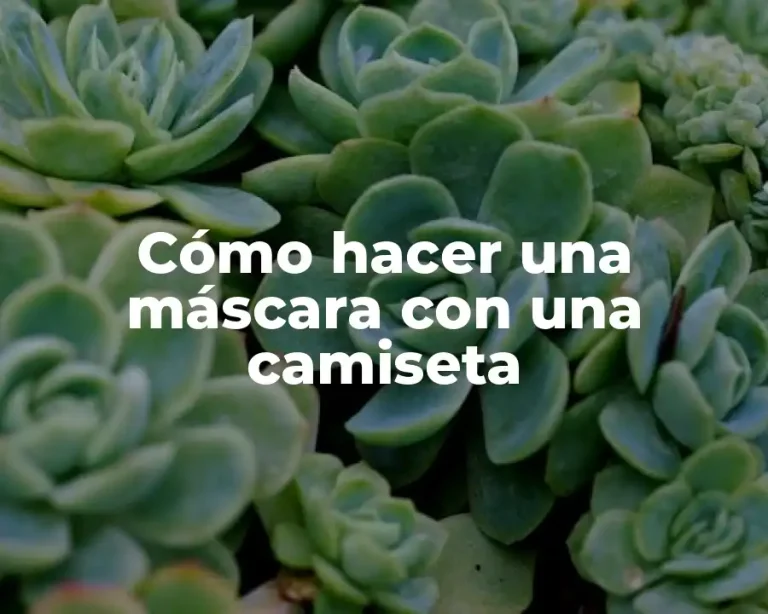 Cómo hacer una máscara con una camiseta