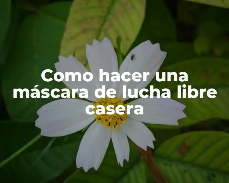 Como hacer una máscara de lucha libre casera