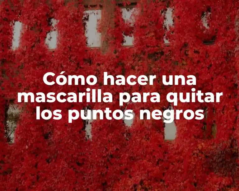 Cómo hacer una mascarilla para quitar los puntos negros