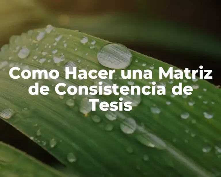 Como Hacer una Matriz de Consistencia de Tesis