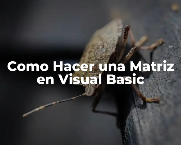 Como Hacer una Matriz en Visual Basic
