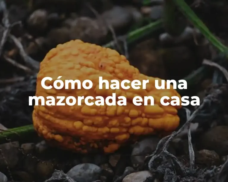 Cómo hacer una mazorcada en casa