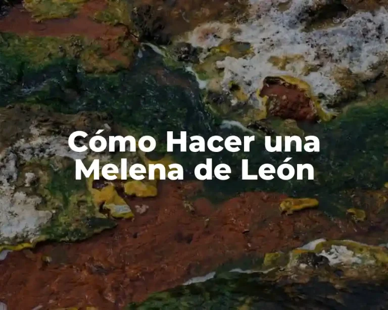 Cómo Hacer una Melena de León