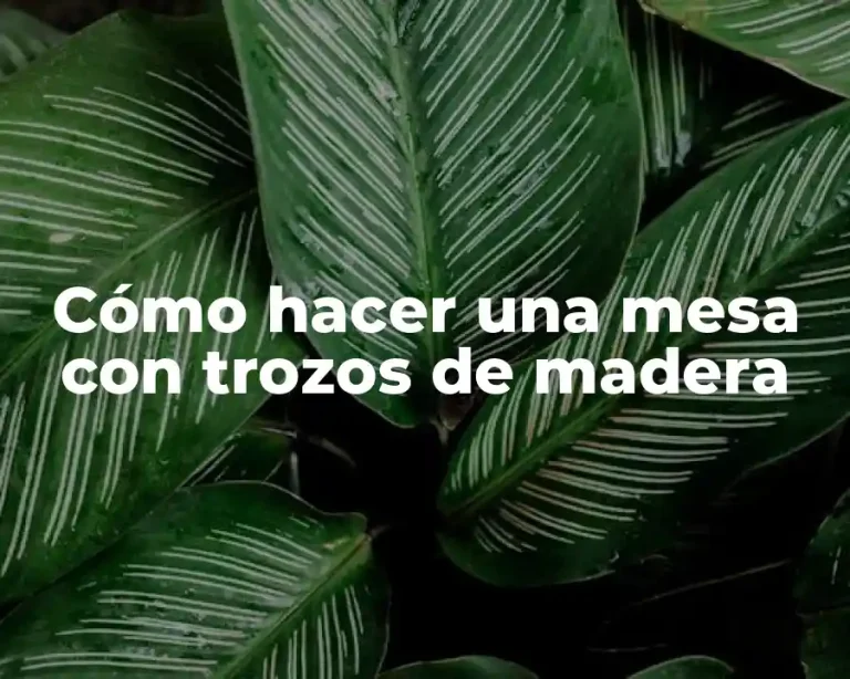 Cómo hacer una mesa con trozos de madera