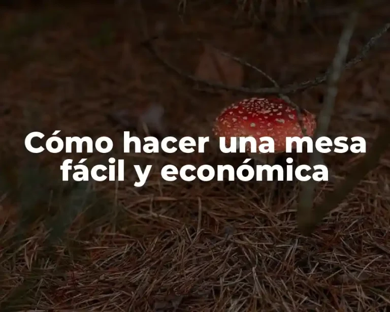 Cómo hacer una mesa fácil y económica
