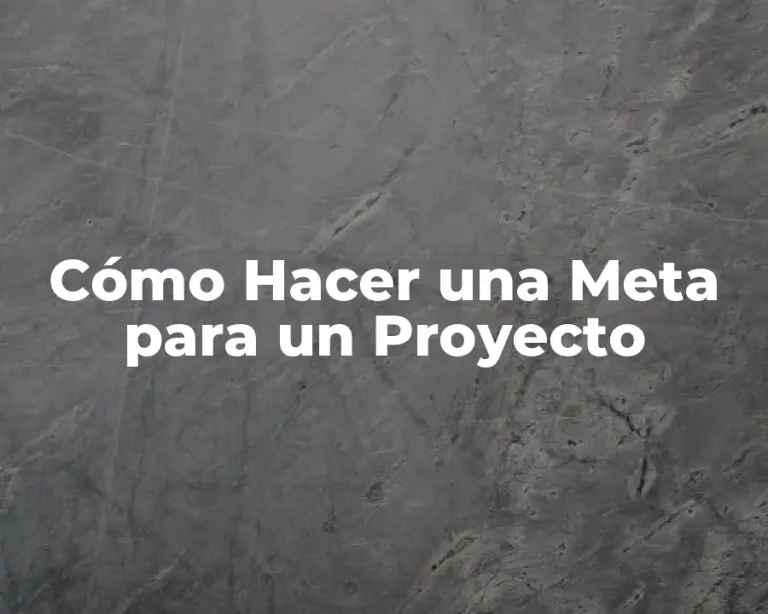 Cómo Hacer una Meta para un Proyecto