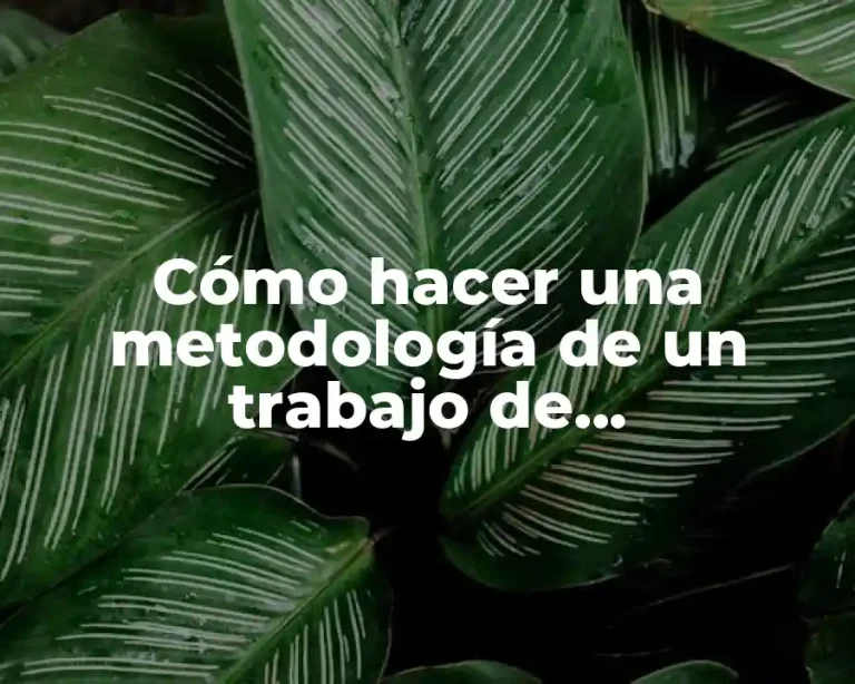 Cómo hacer una metodología de un trabajo de investigación ejemplo