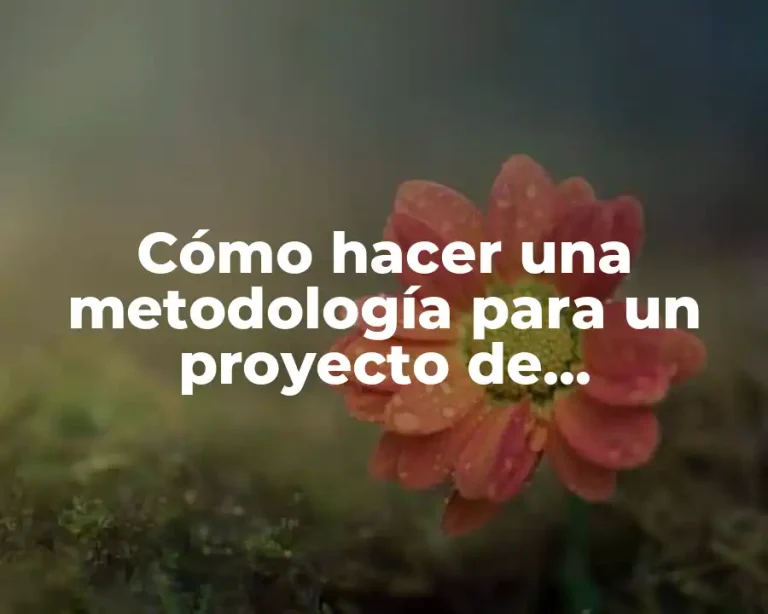 Cómo hacer una metodología para un proyecto de investigación