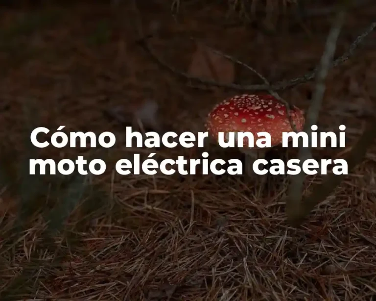 Cómo hacer una mini moto eléctrica casera