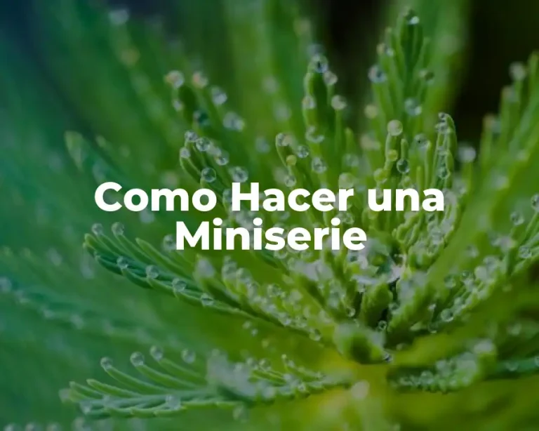 Como Hacer una Miniserie