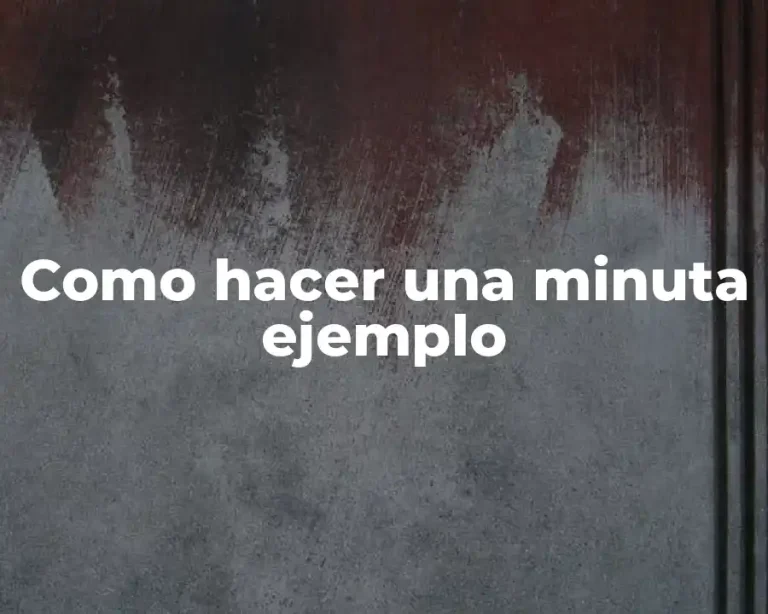 Como hacer una minuta ejemplo