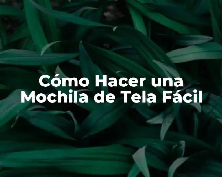 Cómo Hacer una Mochila de Tela Fácil