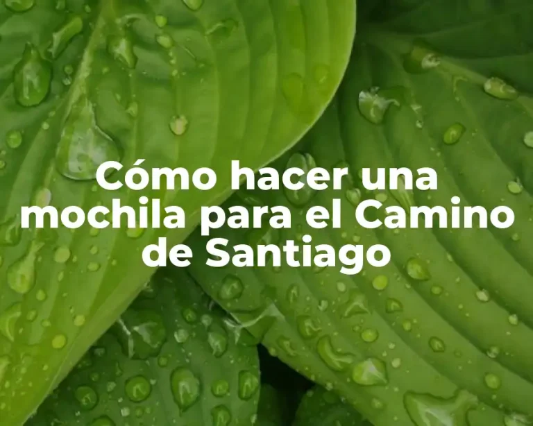 Cómo hacer una mochila para el Camino de Santiago