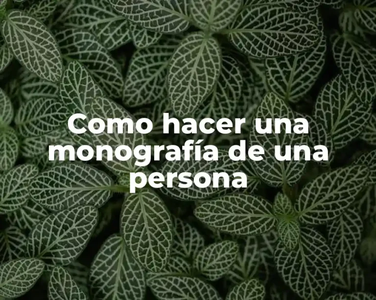 Como hacer una monografía de una persona