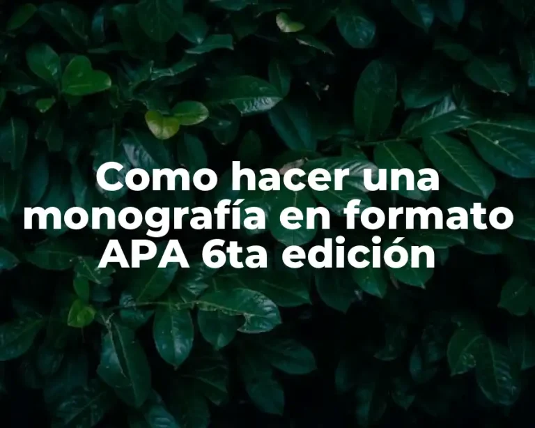 Como hacer una monografía en formato APA 6ta edición