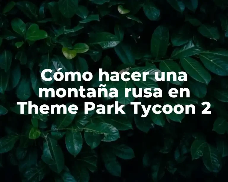 Cómo hacer una montaña rusa en Theme Park Tycoon 2