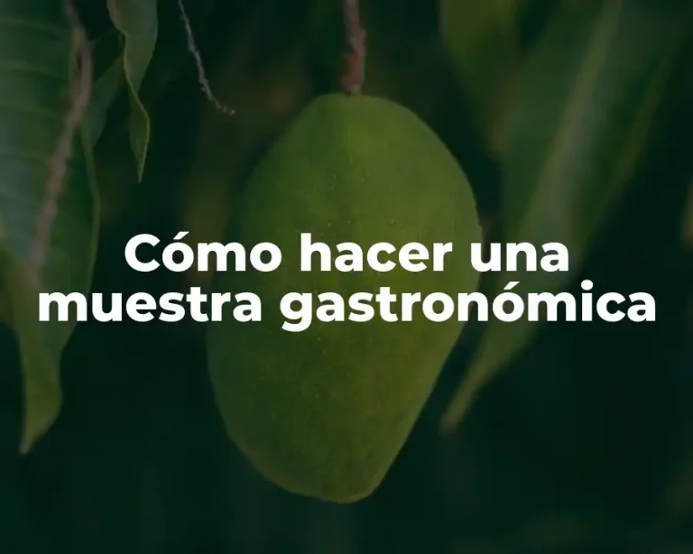 Cómo hacer una muestra gastronómica