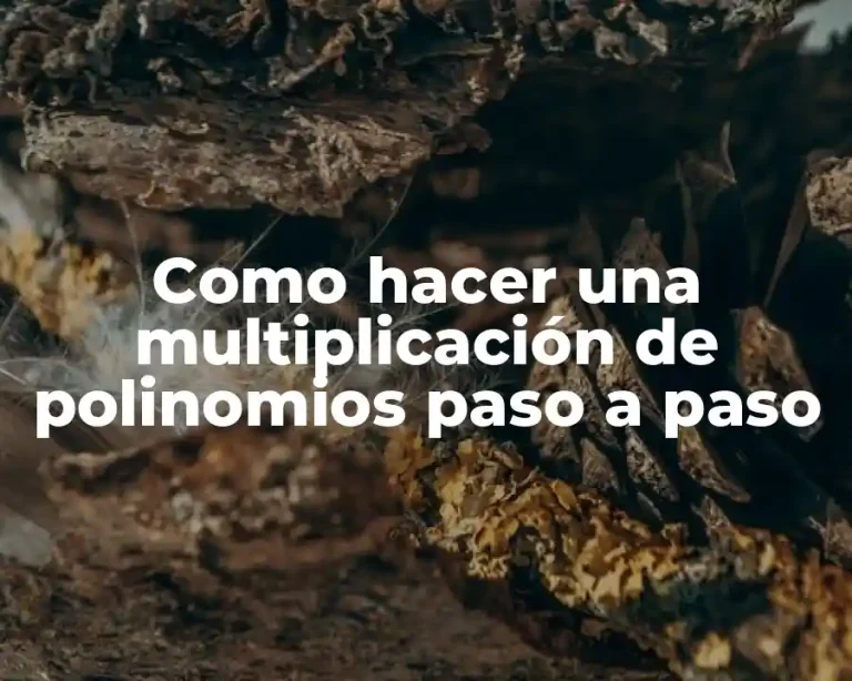 Como hacer una multiplicación de polinomios paso a paso