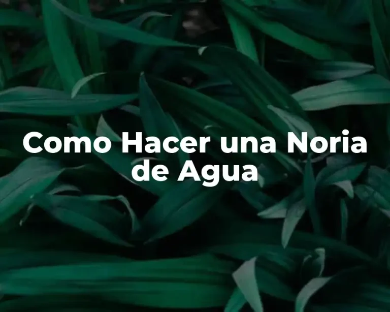 Como Hacer una Noria de Agua
