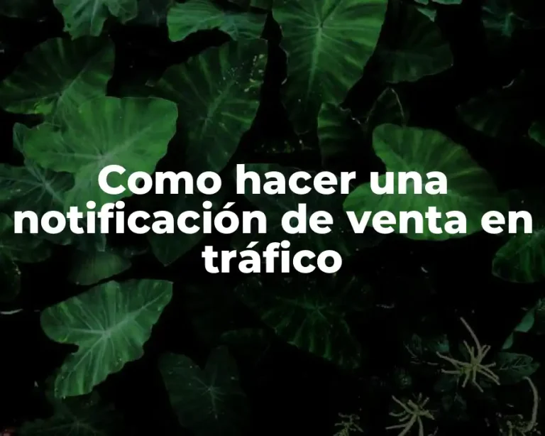 Como hacer una notificación de venta en tráfico