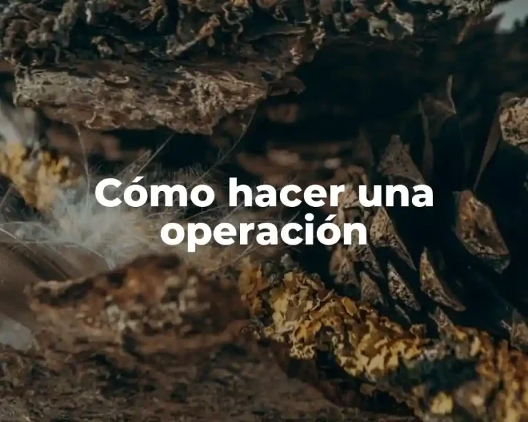Cómo hacer una operación