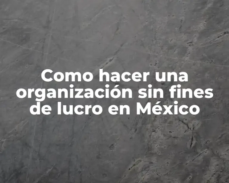 Como hacer una organización sin fines de lucro en México