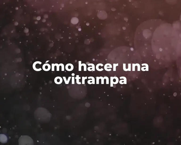 Cómo hacer una ovitrampa
