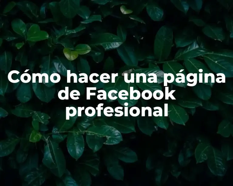 Cómo hacer una página de Facebook profesional