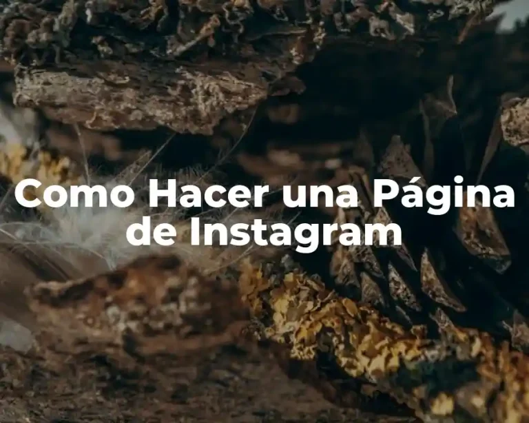 Como Hacer una Página de Instagram