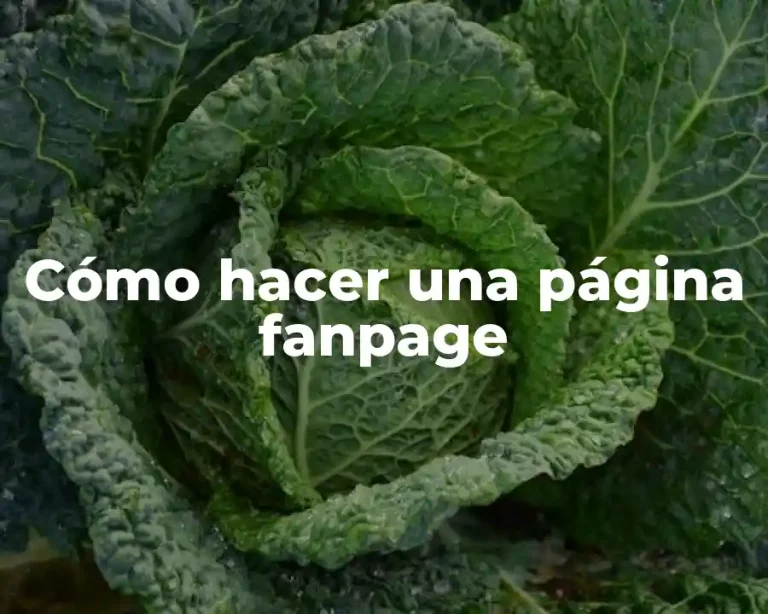 Cómo hacer una página fanpage