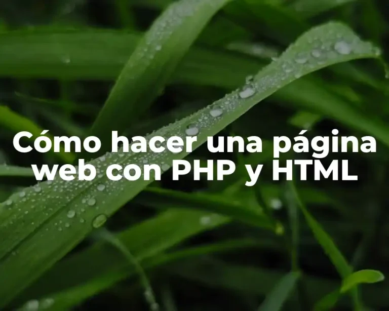 Cómo hacer una página web con PHP y HTML