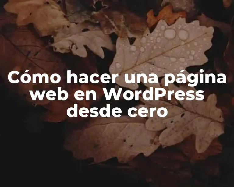 Cómo hacer una página web en WordPress desde cero