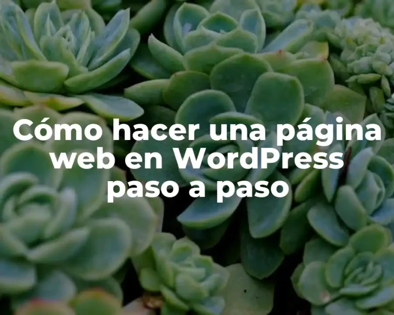 Cómo hacer una página web en WordPress paso a paso