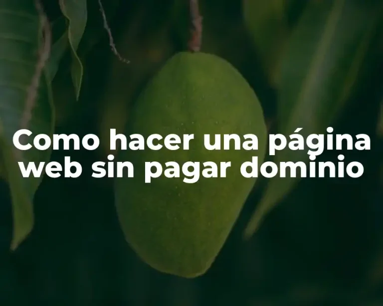 Como hacer una página web sin pagar dominio