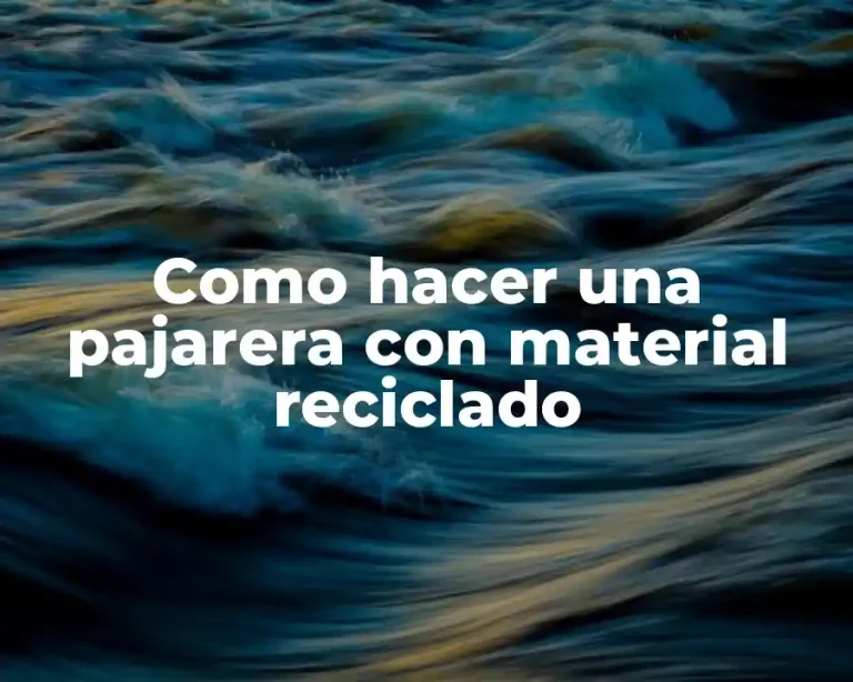 Como hacer una pajarera con material reciclado