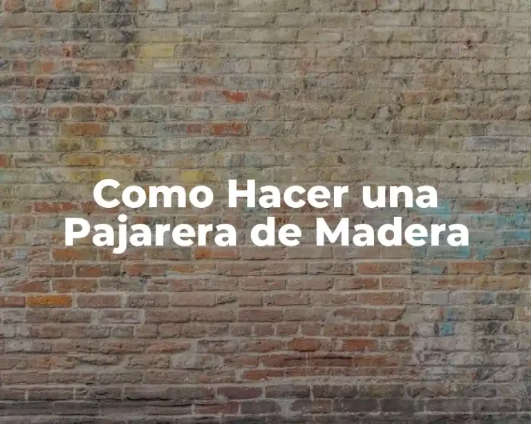 Como Hacer una Pajarera de Madera