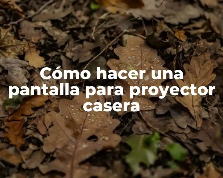 Cómo hacer una pantalla para proyector casera