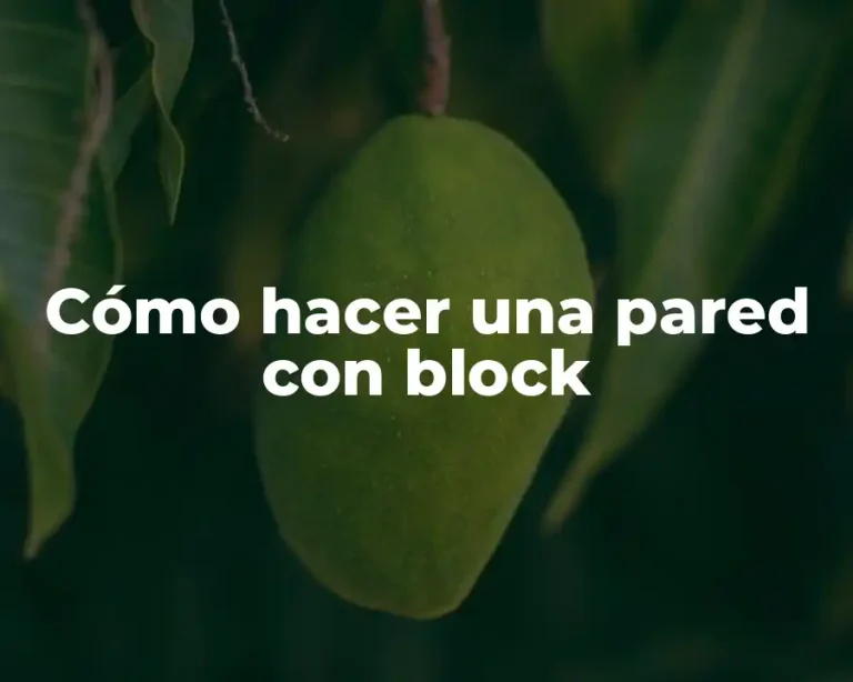 Cómo hacer una pared con block