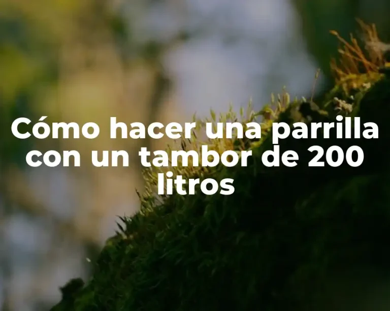 Cómo hacer una parrilla con un tambor de 200 litros